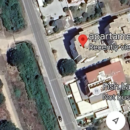 Todhe - Gjiri Lalezit 500m From The *