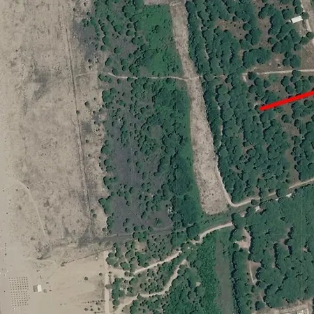 아파트 Todhe - Gjiri Lalezit 500m From The 드라치